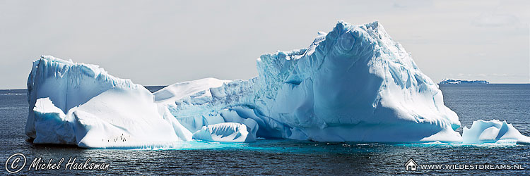 Chinstrap Penguin, Iceberg, Pygoscelis Antarcticus