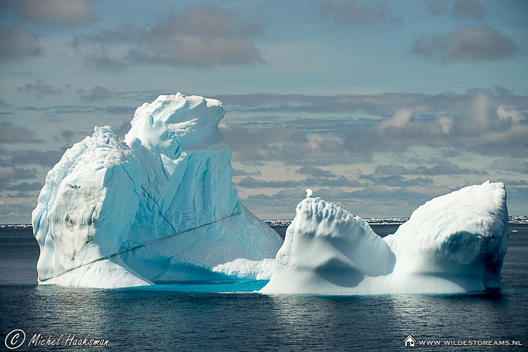 Iceberg
