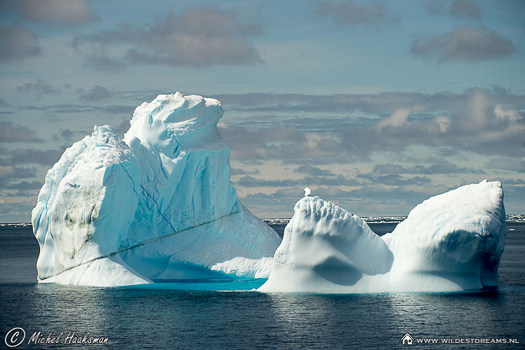 Iceberg